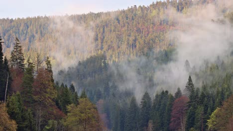 Tim-lapse-of-fog-in-the-woods,-rising-up-from-the-valley-up-in-the-height-while-sunshine-appears,-untouched-nature-of-mountains