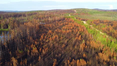 Volando-Entre-Las-Secuelas-De-Un-Incendio-Forestal-Récord-En-Lebel-sur-quévillon,-Video-Aéreo-No-Tripulado-De-Québec