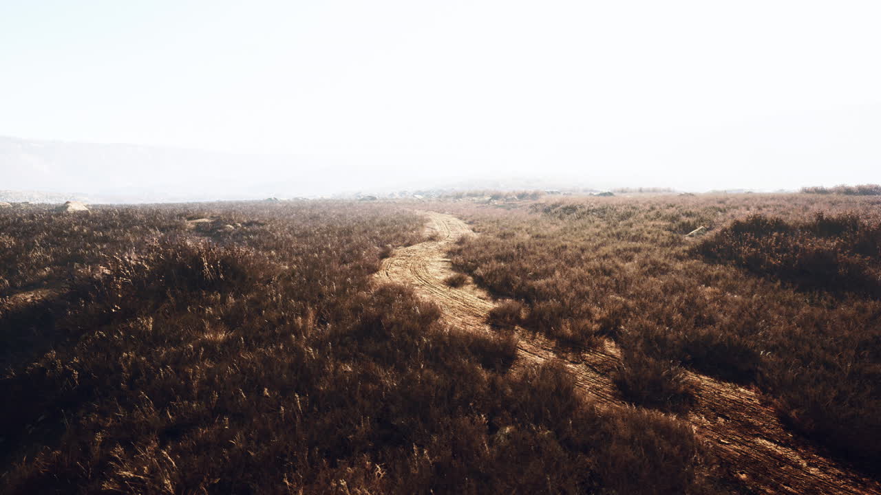 hierba de otoño en las piedras contra el telón de fondo de las rocas