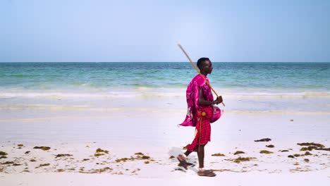 maasai man in pink clothes walking on sand beach, holding wooden stick