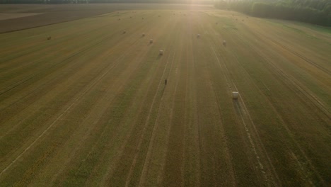 aerial drone shot over golden field with man