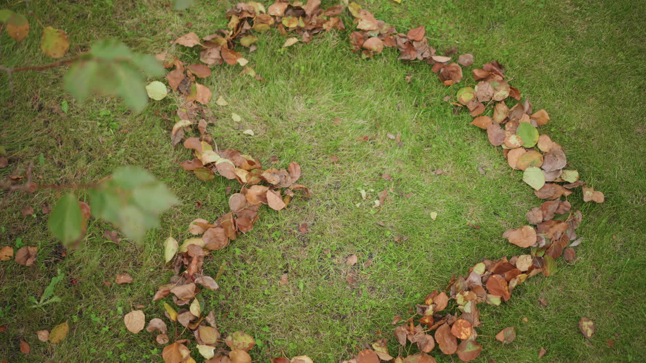 Cuore di foglie su erba verde, composizione aerea autunnale che mostra un anello a forma di cuore di foglie marroni su un prato lussureggiante, luce solare soffusa che filtra attraverso i rami, prospettiva dall'alto che evoca un'atmosfera romantica e accogliente.
