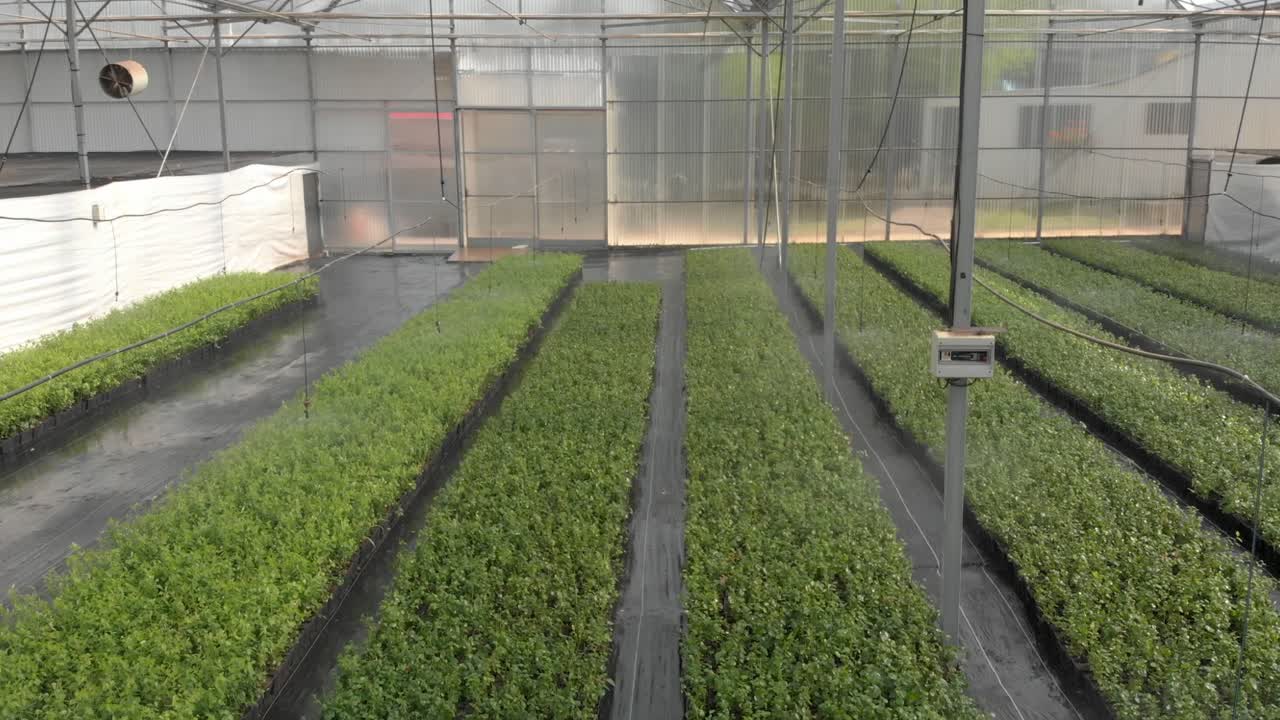 드론이 미초아칸의 베리 을 았습니다.