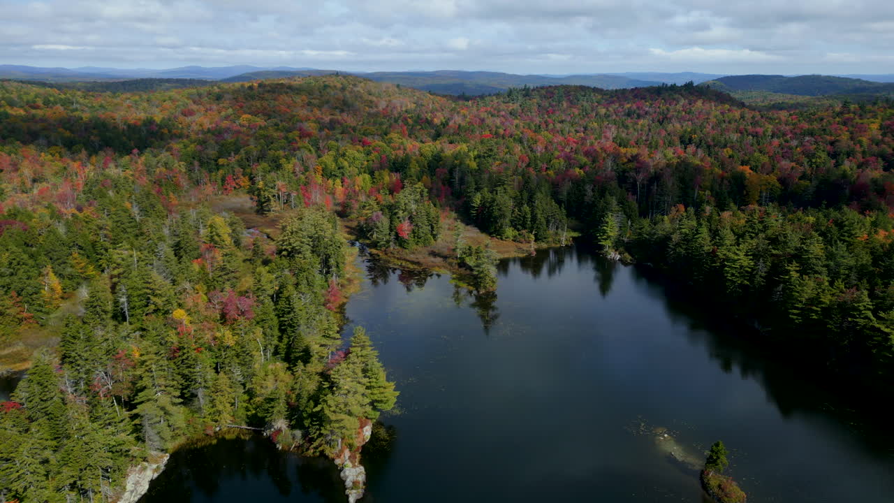 Aerial pullback above lake edge full of deciduous trees changing color on rocky island in New England