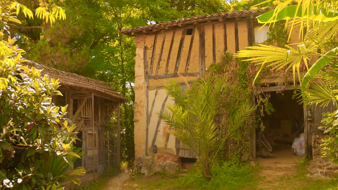 Exotic botanical garden La Palmeraie du Sarthou in Bétou, France, featuring tropical plants and lush vegetation