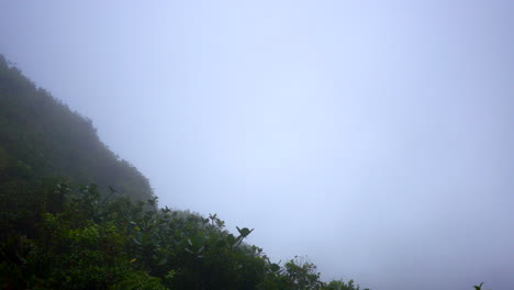 View-of-a-side-of-a-green,-lush,-tropical-rainforest-mountain