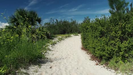 Strandähnliche-Pfade,-Die-Mit-Den-Stränden-Der-Südküste-Von-Bermuda-Verbunden-Sind