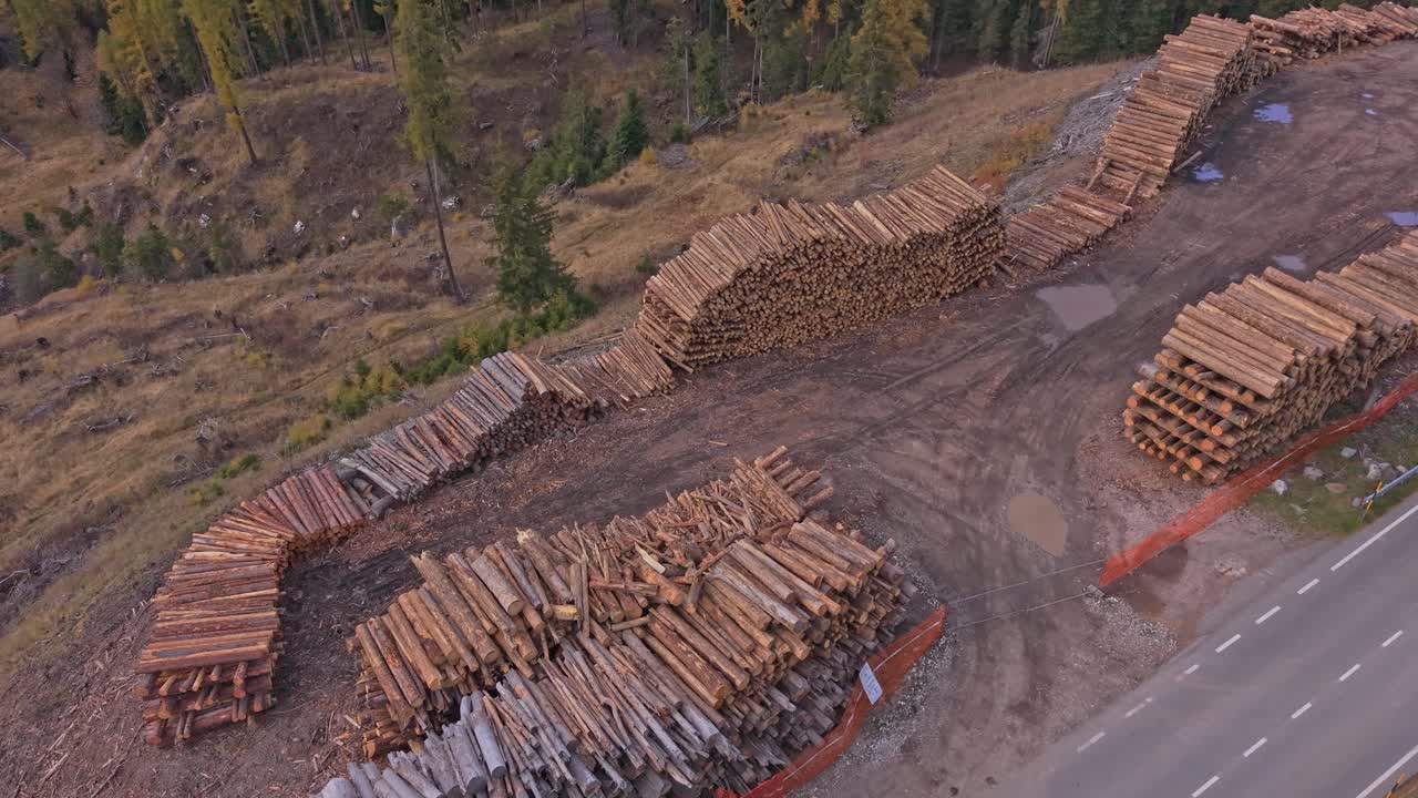 Forest logging site with stacked wood, aerial shot, Dolomites