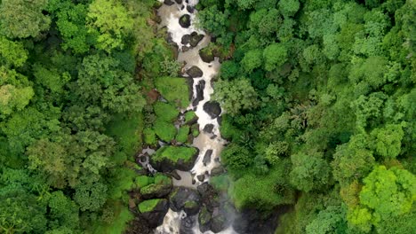 pequeños arroyos de cascada a través del bosque verde, antena aérea delantera