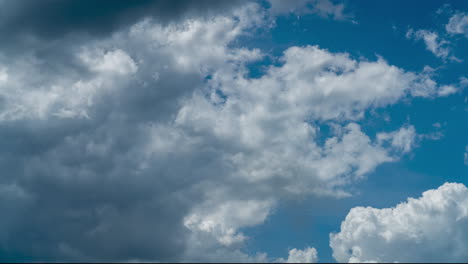 white soft clouds quickly turning into grey ones. rain cloudscape formation in the blue sky timelapse. view from below.