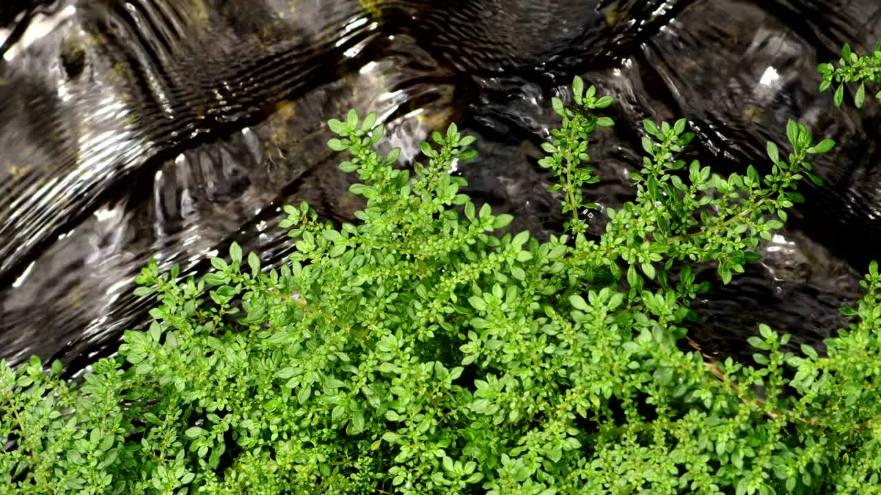 naturaleza escénica de una hermosa cascada