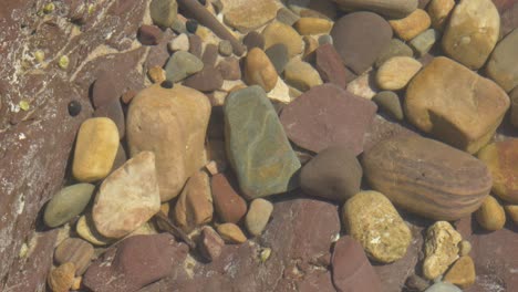 imágenes en cámara lenta de un charco de roca poco profundo en una playa australiana