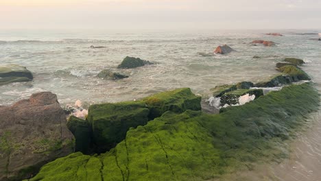 Olas-Rompiendo-Contra-Rocas-Cubiertas-De-Algas-En-Una-Playa-Tranquila