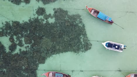 Thai-longtail-boats-anchored-in-turquoise-coral-water-at-Pattaya-Beach-in-Koh-Lipe-Thailand,-aerial-top-down