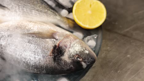 pescado fresco con limón y hielo