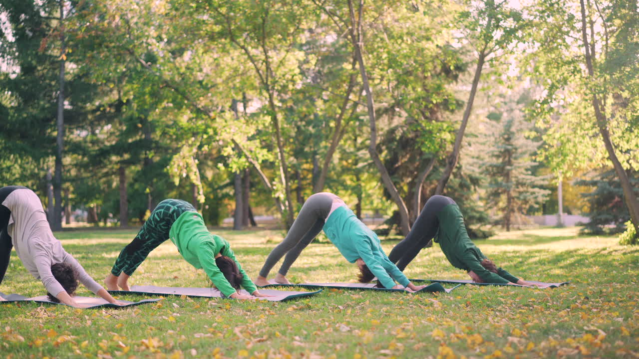 Group Yoga Practice in Park