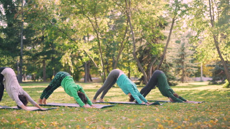 group yoga practice in park