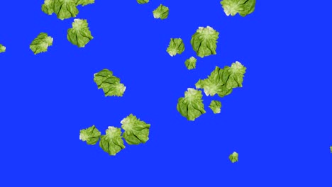 vegetables falling animation chroma key element loop, salad