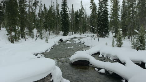 Bach-Fließt-Im-Winter-Durch-Schneebedeckten-Kiefernwald