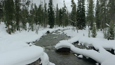 stream flowing through snow covered pine forest in winter