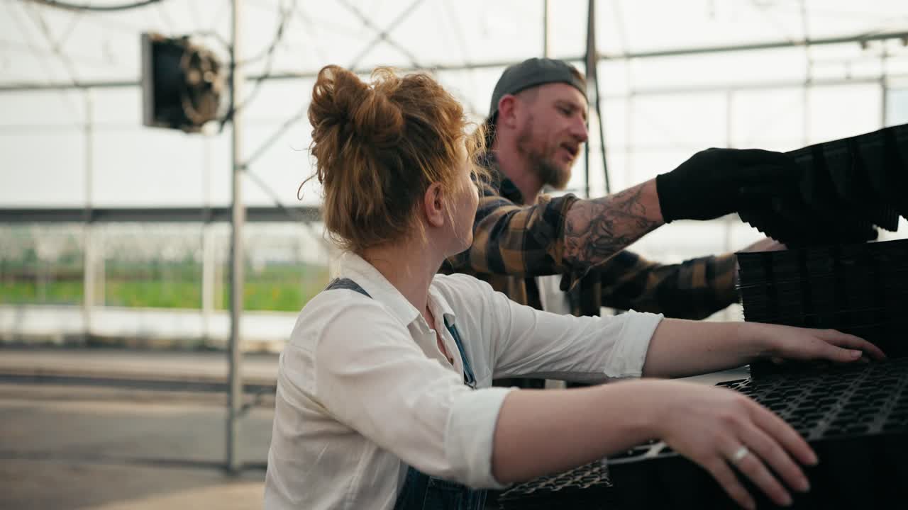 mujer feliz agricultora con cabello rojo trabaja con su colega y clasifica a través de cajas para plántulas y plantas jóvenes mientras trabaja en un invernadero en una granja