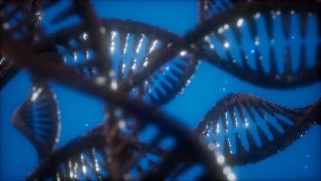 Struktur-Der-DNA-Doppelhelix-Animation