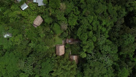 fotografía superior de una vivienda simple en el denso bosque amazónico