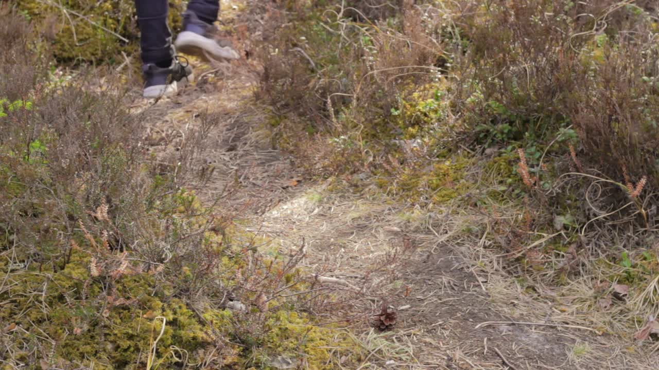 persona con zapatillas modernas caminando en un bosque natural vibrante, de cerca