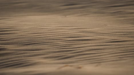 wind-sculpted sand dune