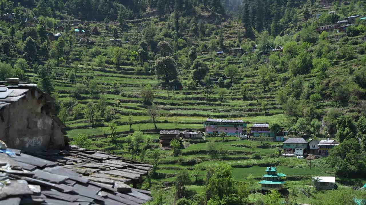 Plants, houses and natural diversity of the mountainous region.