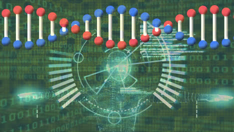 animation of dna helix, radar and illuminated digital human body over looping binary codes