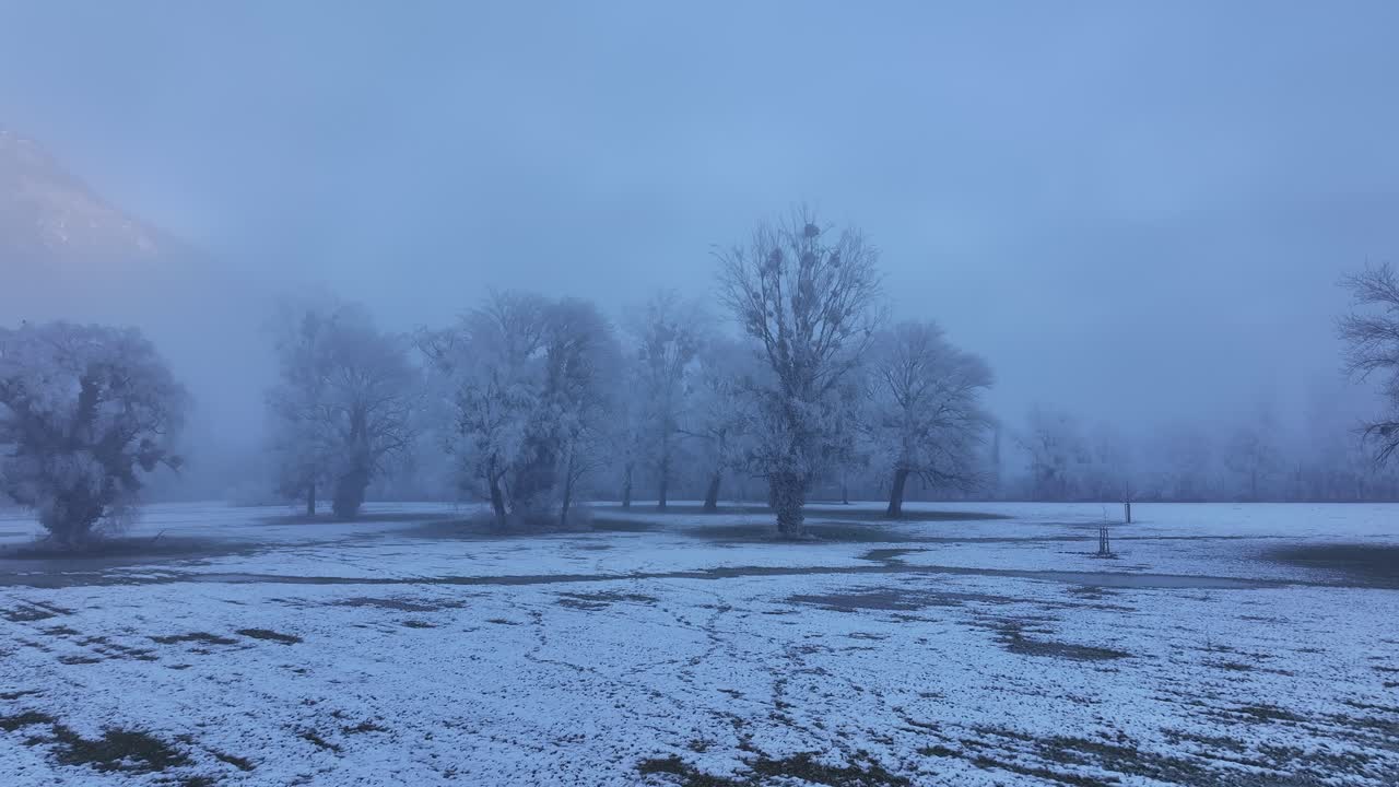 Breathtaking winter landscape in Walensee, Switzerland, covering Wessen, Amden, Quinten, Mols and Walenstadt. snow-covered trees, misty fog and serene nature, peaceful scene,