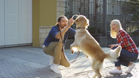 Junges-Glückliches-Paar,-Das-Mit-Einem-Labrador-hund-Spielt-Und-Ihn-Trainiert,-An-Einem-Sonnigen-Tag-Zu-Springen-1