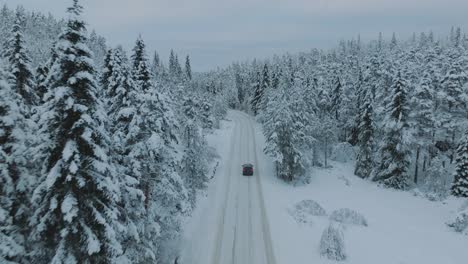electric vehicle driving in beautiful snowy landscape in norway with snow covered tree tops
