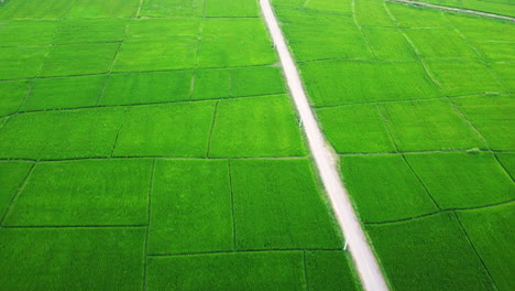 Aerial-shot-of-road-passing-through-lush-green-field