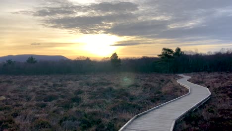 a boardwalk winding into the distance