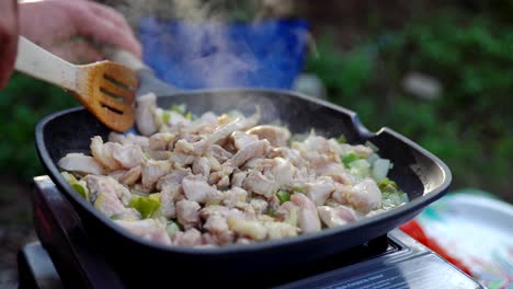 chicken skillet on camping stove