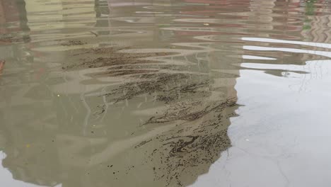 oil spilling over the flood water on the street of kolkata,india