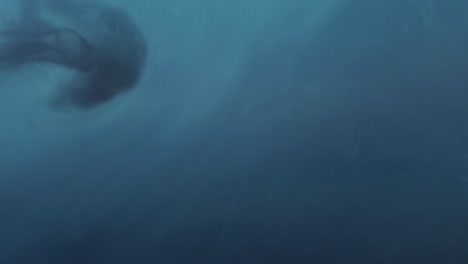 tinta azul oscuro que cae en agua azul oscuro y se disuelve