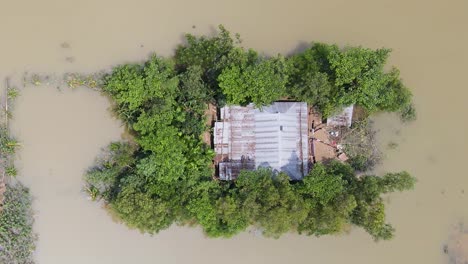 rural village home and trees surrounded by floodwater in bangladesh. - aerial descend shot