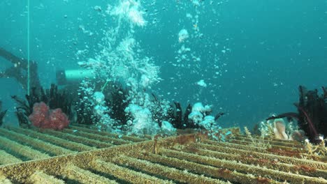 scuba divers working on an underwater government infrastructure project deep below the ocean