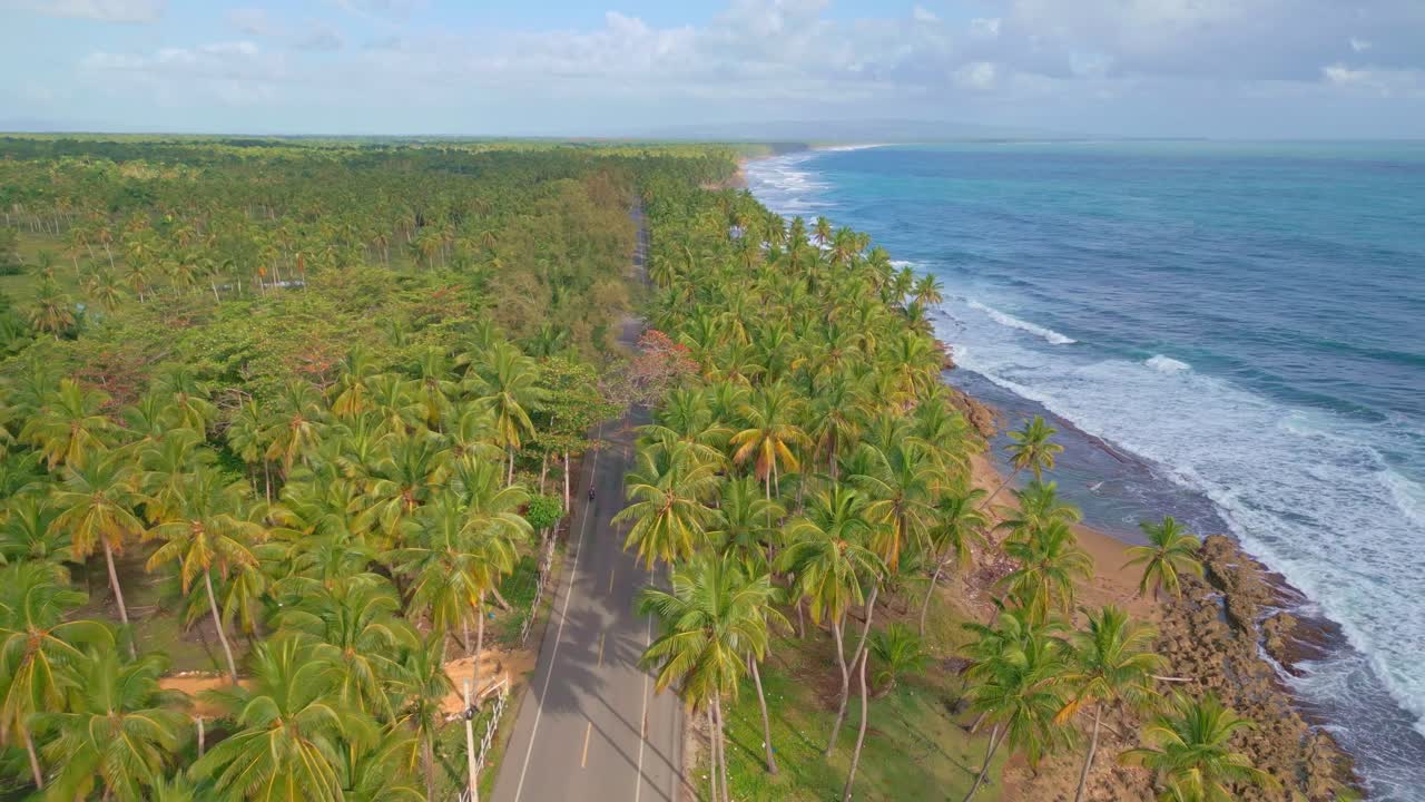 tiro aéreo para trás da estrada da avenida das palmeiras ao lado do mar do caribe ao pôr do sol - maría trinidad sánchez, nagua, república dominicana