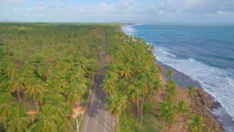 Toma-Aérea-Hacia-Atrás-De-Palm-Tree-Avenue-Road-Junto-Al-Mar-Caribe-Al-Atardecer---María-Trinidad-Sánchez,-Nagua,-República-Dominicana