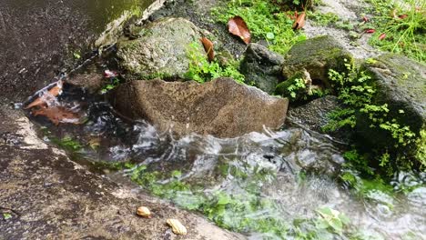 Agua-De-Lluvia-Cayendo-Sobre-Rocas-Cubiertas-De-Musgo