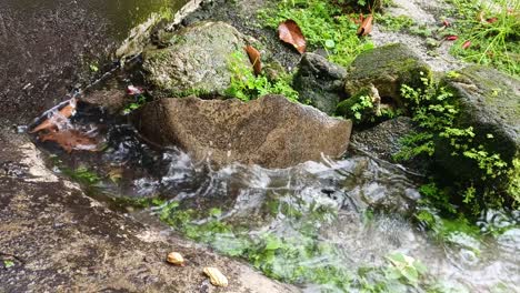 rainwater falling on mossy rocks