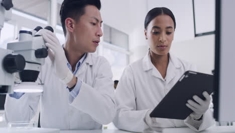 two scientists working online in a lab