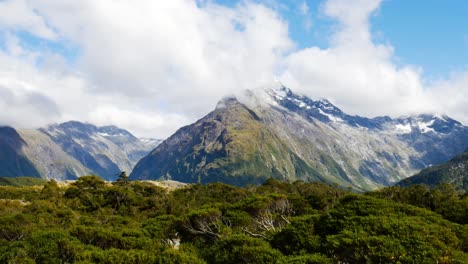 alpine-shrubs-blowing-in-wind-with-snow-capped-peaks-in-background