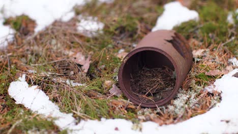 an old can of food in the woods