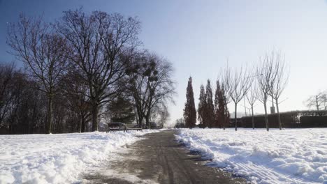 Callejón-Del-Parque-Cubierto-De-Nieve-Tiro-Estático