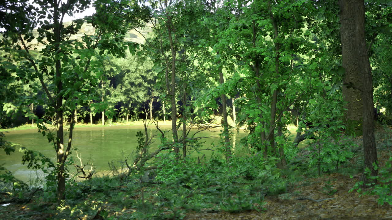 Lush green forest landscape near a tranquil water body at midday